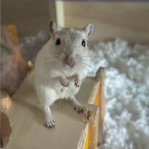 Meet your Posher, Vanessa